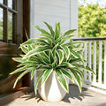 Fake Ferns, Faux Outdoor Plants UV Resistant, 3D Real Touch Fake Plants Total by Cherica