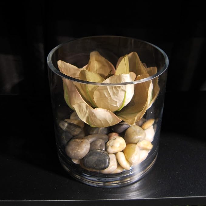 WGVI WGV Cylinder Vase Bulk, 12 Pieces - Image 7