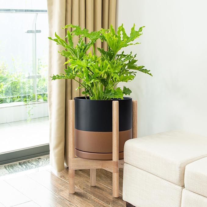 D'vine Dev Ceramic Pot with Natural Wood Stand, 10 in, 55-B-K-7 | Mid-Century - Image 2