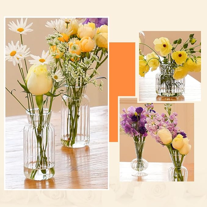 12 Pcs Ribbed Glass Bud Vases Set, 4 Styles Clear Small Flower Vases | Mini - Image 4