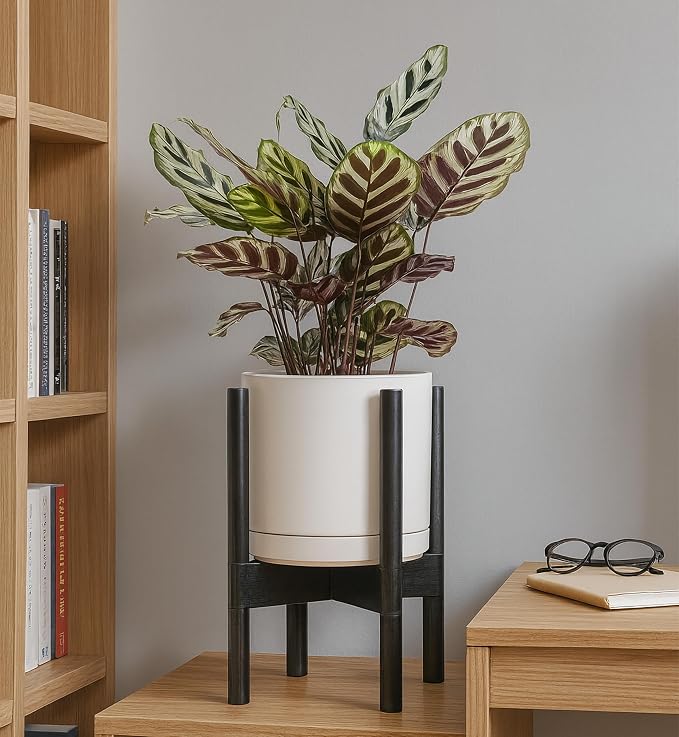 D'vine Dev Ceramic Pot with Ebony Wood Stand, 8 in, 55-B-M-8 | Mid-Century - Image 7
