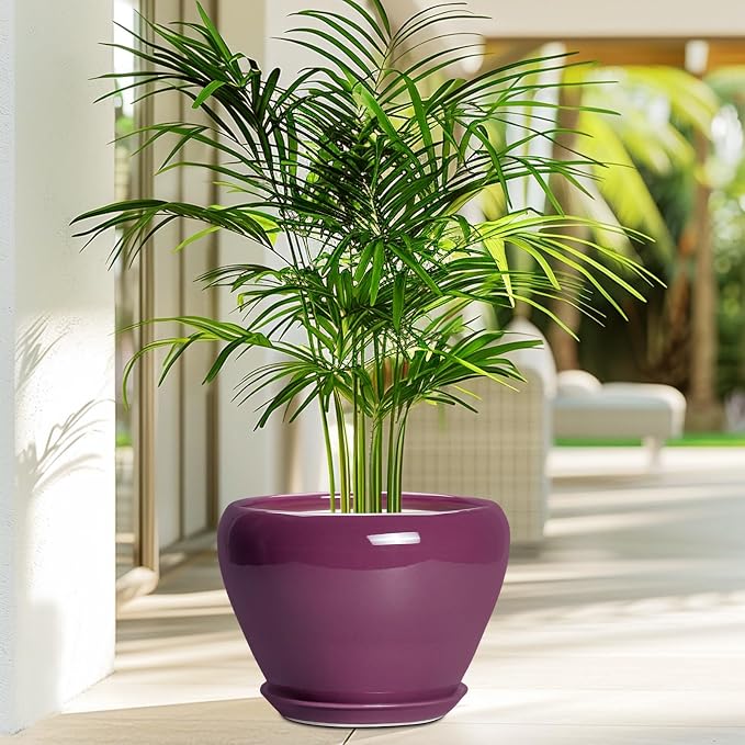 Ceramicfor Ceramic Planter - Image 4