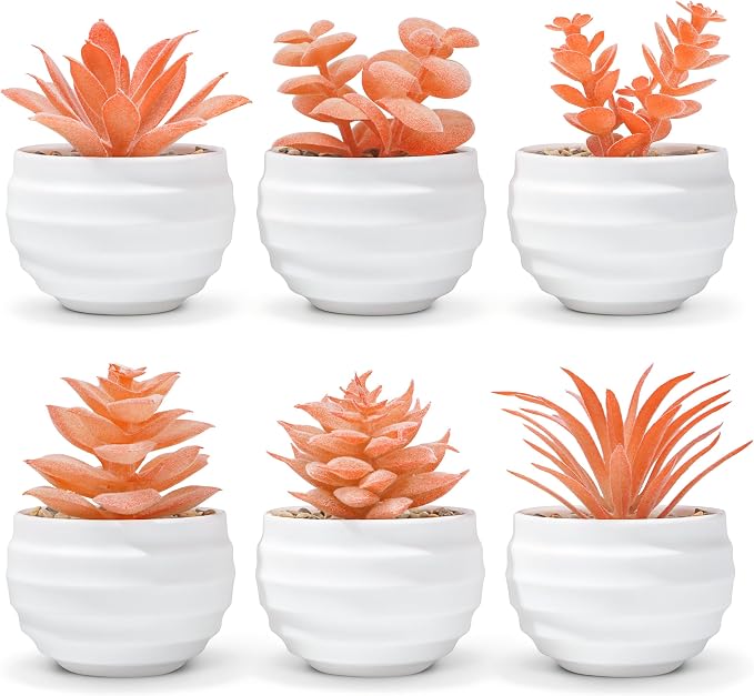 Der Rose 6 Pack Fall Fake Succulent Plants in White Pots by DerRose