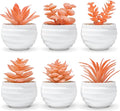 Der Rose 6 Pack Fall Fake Succulent Plants in White Pots by DerRose