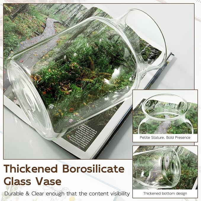 Clear Glass Vase, 8 inch Glass Flower Vase - Image 6