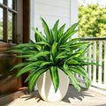 Fake Ferns, Faux Outdoor Plants UV Resistant, 3D Real Touch Fake Plants by Cherica