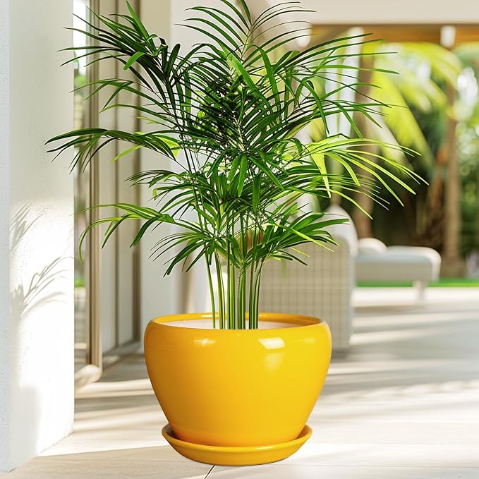 Ceramicfor Ceramic Planter - Image 4