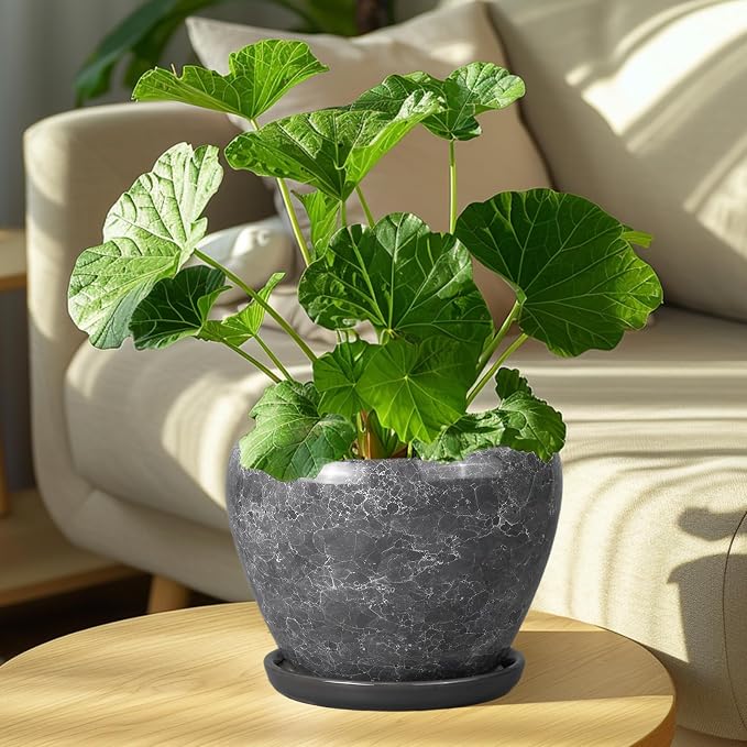 Ceramicfor 8 Inch Plant Pot - Image 4