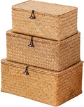 Nonam Wicker Storage Basket by Home