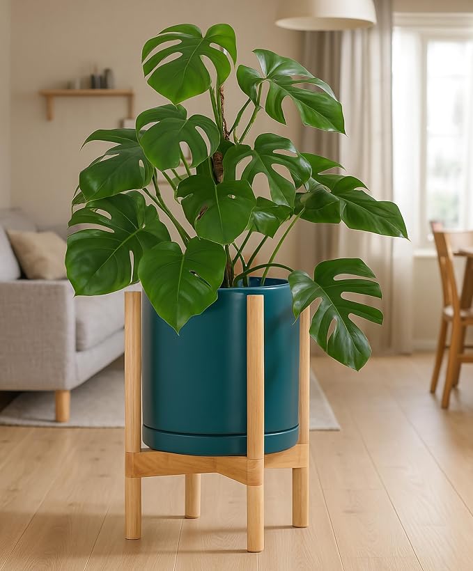 D'vine Dev Ceramic Pot with Natural Wood Stand, 12 in, 55-B-J-4 | Mid-Century - Image 4