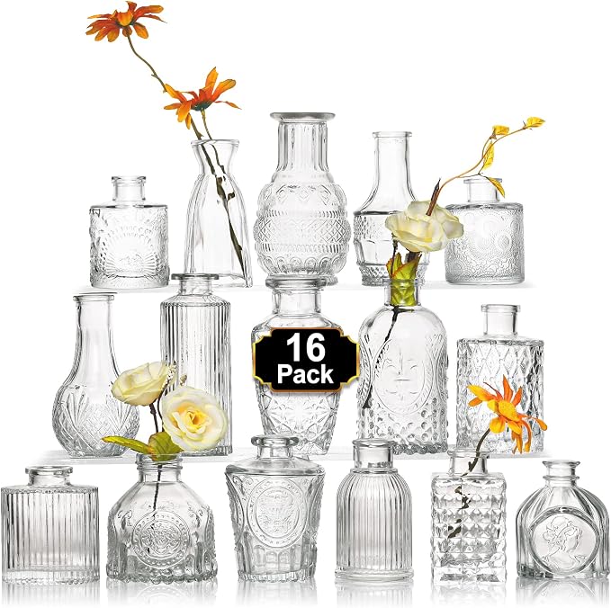 Arme Glass Bud vases in Bulk，Small Glass Flower Vase by Arme