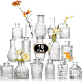 Arme Glass Bud vases in Bulk，Small Glass Flower Vase by Arme