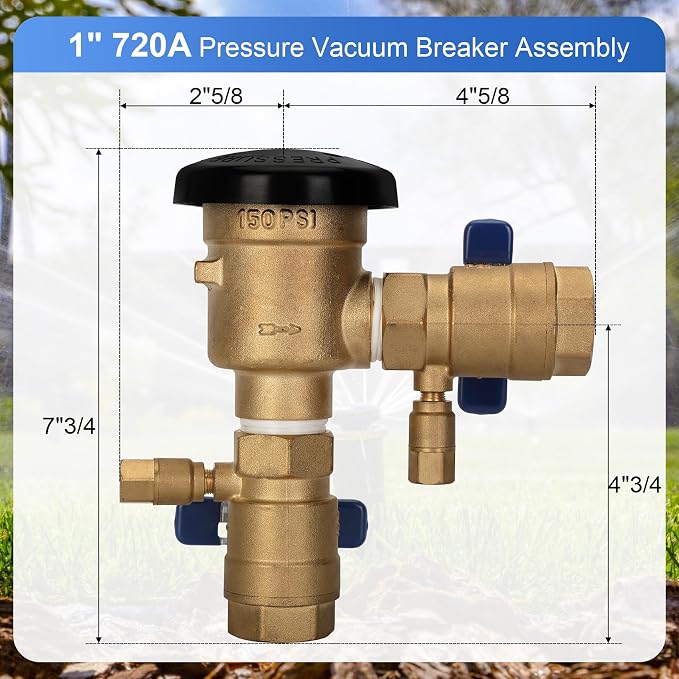 1”720A Pressure Vacuum Breaker Assembly - Image 2