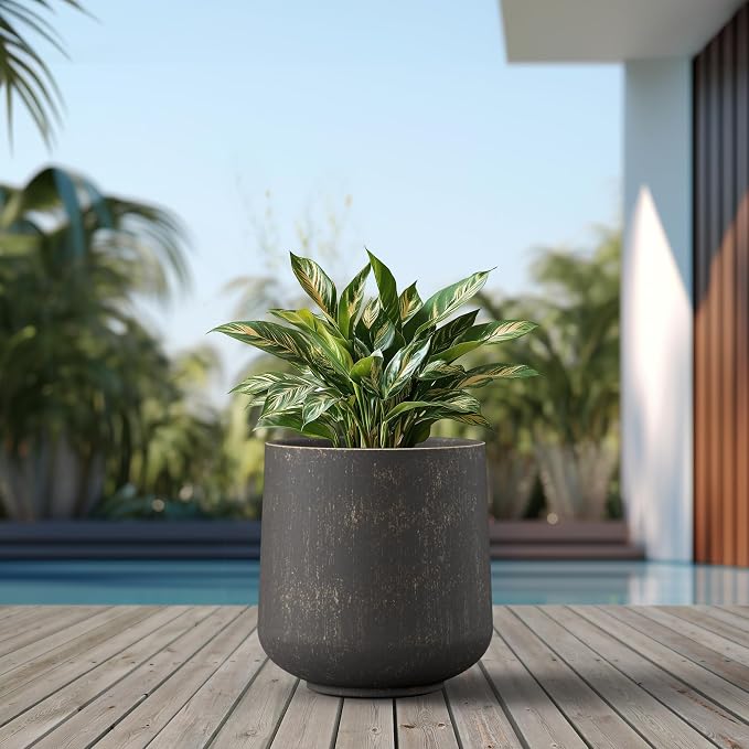 Kante Large Round Curved Vintage BRN Concrete Planter 16.5" Dia, Outdoor | - Image 3