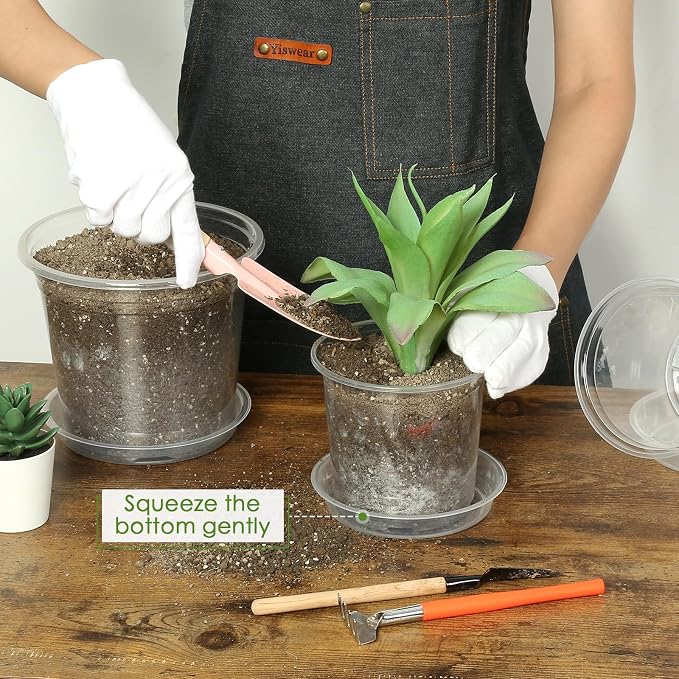FUIJOL 5 Inch Clear Nursery Pots - Image 4