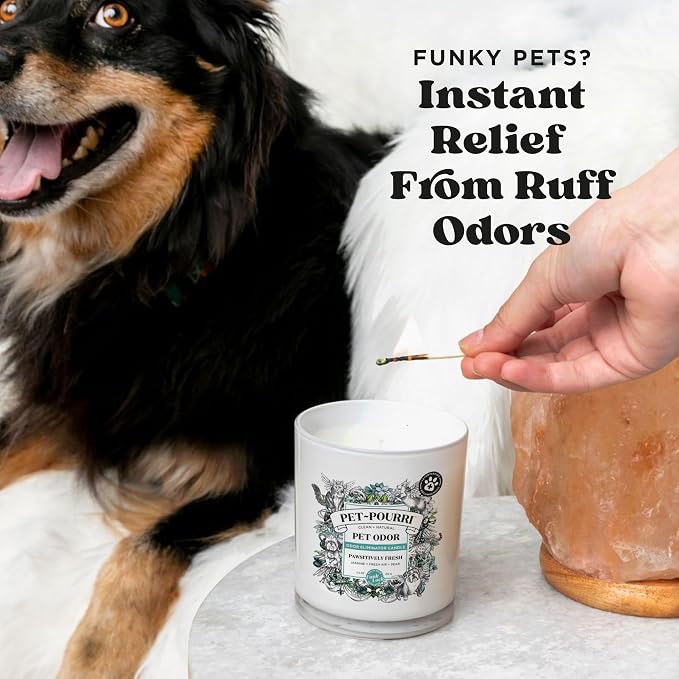 Pet-Pourri Pawsitively Fresh Pet Odor Deodorizer Candle, Burns Up to 45 Hours - Image 2