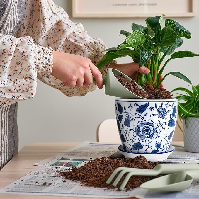 HakkaGirl 8 inch Ceramic Planters - Image 5