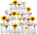 Petal Petite Small Clear Glass Bud Vase Set of 36 by Unknown