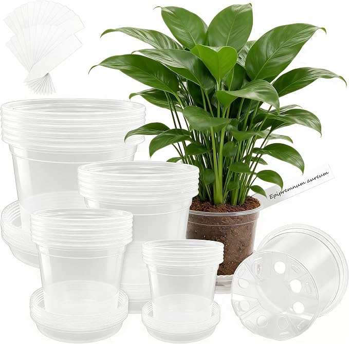 24 Pcs 7/6/5/4 In Clear Nursery Pots by WandaQueen