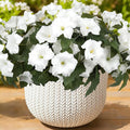 Artificial Flowers for Outdoors, Faux Petunias Spring Summer Decoration by ArtistryThatNeverWithers