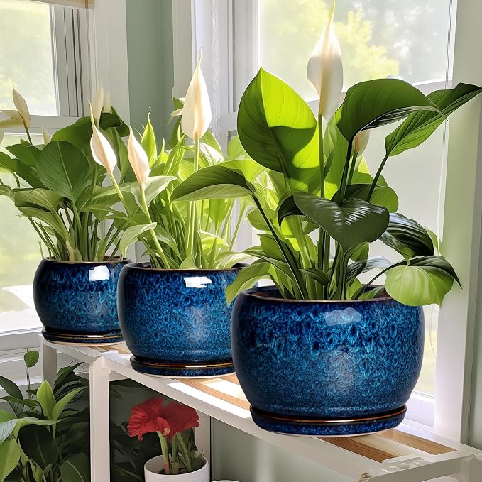 SQOWL 10 Inch Plant Pot - Image 7