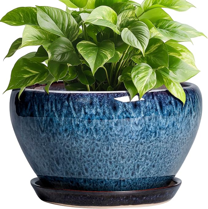 Ceramicfor Ceramic Pots for Plants by Ceramicfor