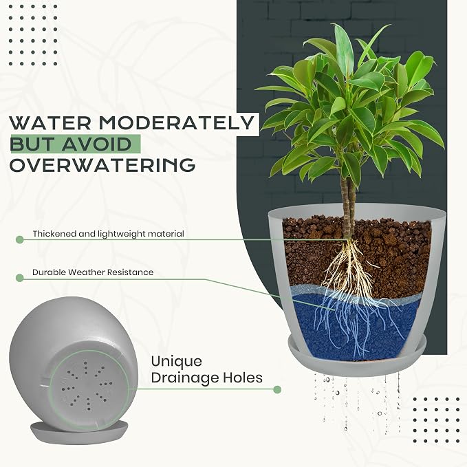 Plant Pots Indoor with Drainage, 10 Pack Multi-Size Planters Set - Image 4