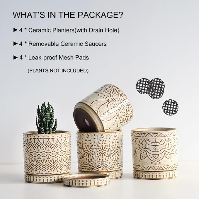 Gepege Ceramic Succulent Pots, 4 Inch Small Plant Pots - Image 3