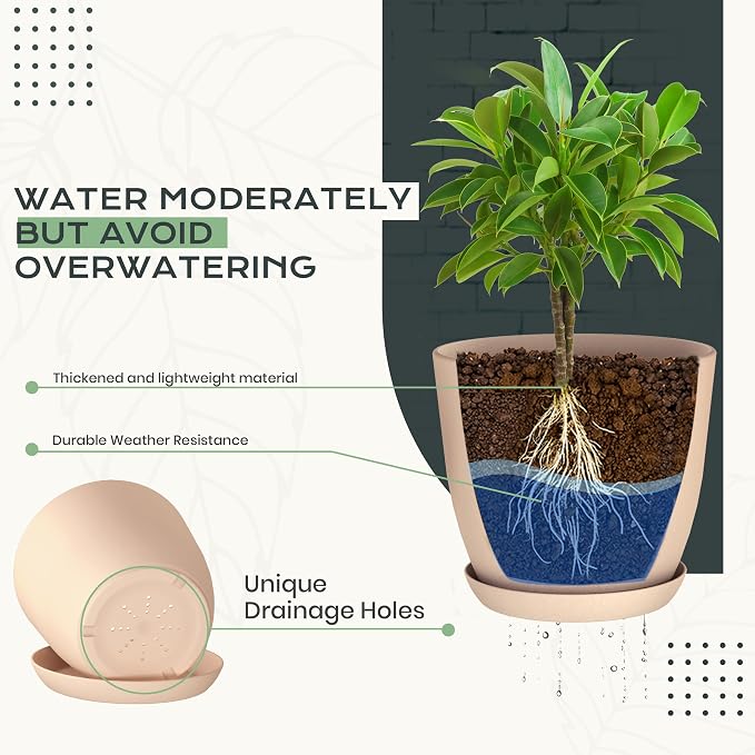 Plant Pots Indoor with Drainage, 10 Pack Multi-Size Planters Set - Image 3