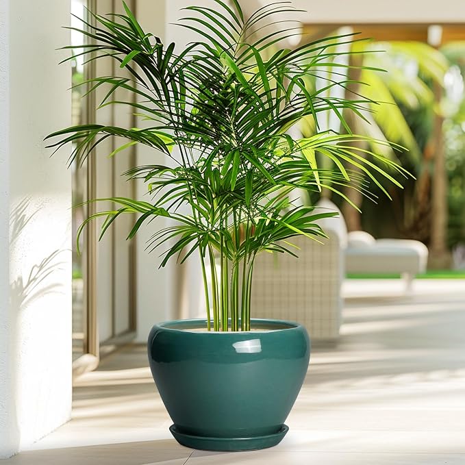 Ceramicfor 8 Inch Plant Pot - Image 4