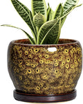SQOWL 6 Inch Plant Pot by SQOWL