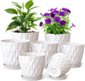 Meowell 7/6.5/6/5.5/5/4.5/4 inch Plant Pots by Meowell