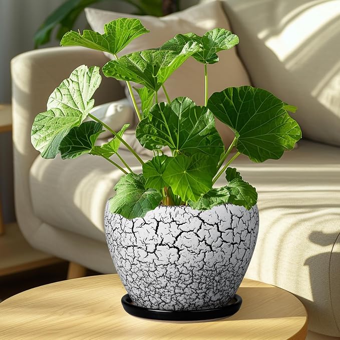 Ceramicfor Ceramic Plant Pot 8 Inch - Image 2