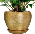 Ceramicfor Indoor Plant Pot 6 Inch by Ceramicfor