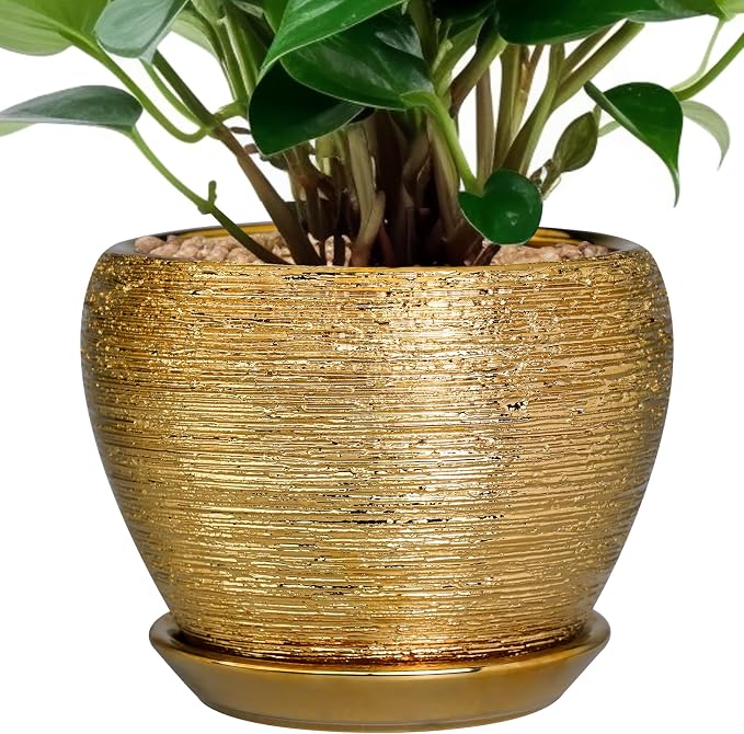 Ceramicfor Indoor Plant Pot 6 Inch by Ceramicfor