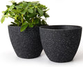 LA JOLIE MUSE Planter Pots, Indoor Outdoor Flower Pot, 7.5 Inch, Balcony and by LaJol%C3%ADeMuse
