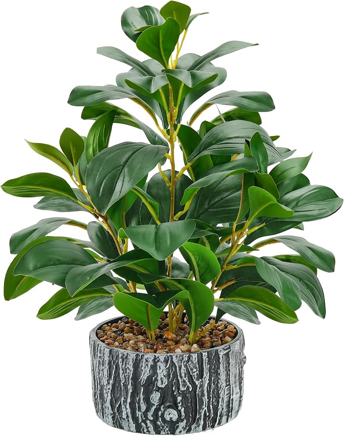 Der Rose 15.7" Artificial Plants Indoor by DerRose