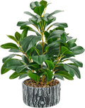 Der Rose 15.7" Artificial Plants Indoor by DerRose