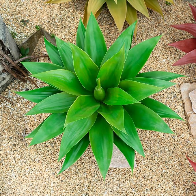 Ttranewsoo 22' Artificial Plant, Artificial Agave Plants, Faux Plants by Ttranewsoo