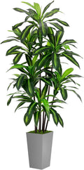 Artificial Dracaena Tree 6FT by ASTIDY