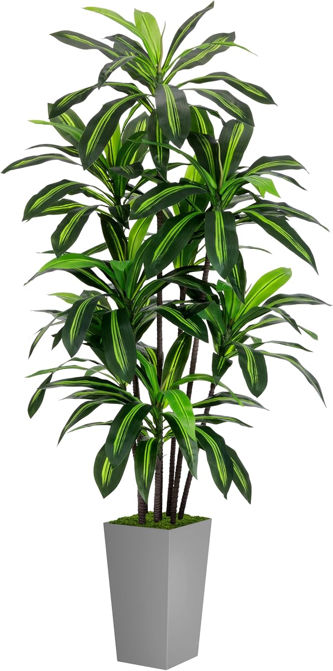 Artificial Dracaena Tree 6FT by ASTIDY