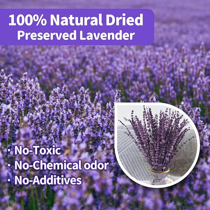 Glicrili Dried Lavender Flowers Real Stems Purple Bouquet - Image 2