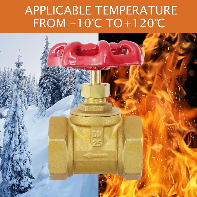 1Pcs Brass industrial Gate Valve DN25 1" Female - Image 5