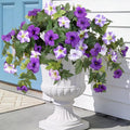 Ammyoo Artificial Fake Flowers Plants by Ammyoo