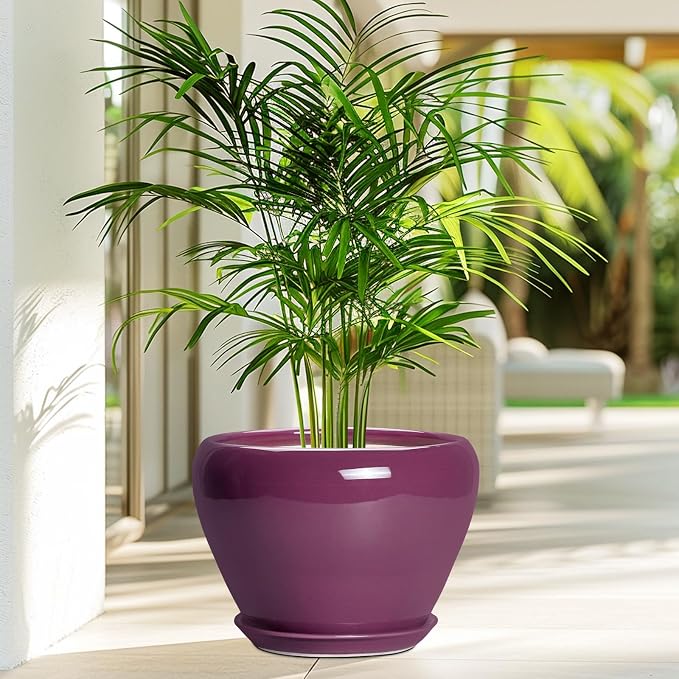 Ceramicfor 10 Inch Plant Pot - Image 4