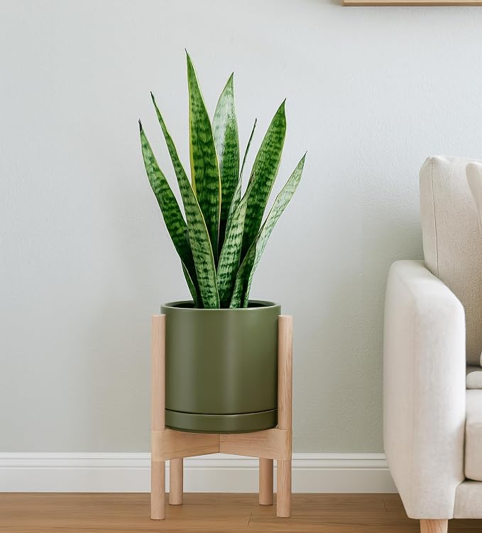 D'vine Dev Ceramic Pot with Natural Wood Stand, 8 in, 55-B-N-J | Mid-Century - Image 2