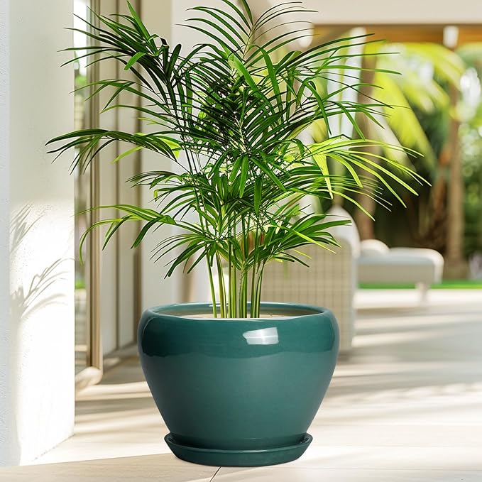 Ceramicfor Ceramic Planter for Indoor Plants 10 Inch, Glaze Round Decorative - Image 4