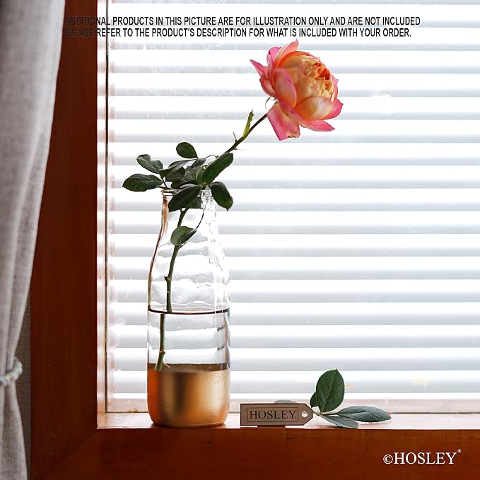 Hosley Set of 6 Pcs, Large Glass Vase - Image 2