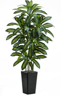 Artificial Dracaena Tree: 5FT Fake Plants Silk Faux Trees（Black Pot） | by TNGGNT