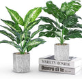 Der Rose 2 Pack 16" Fake Plants Artificial Monstera by DerRose